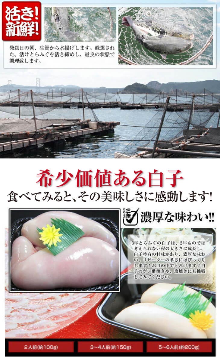 【淡路島3年とらふぐ】鍋白子 ふぐ鍋・白子セット(5~6人前)