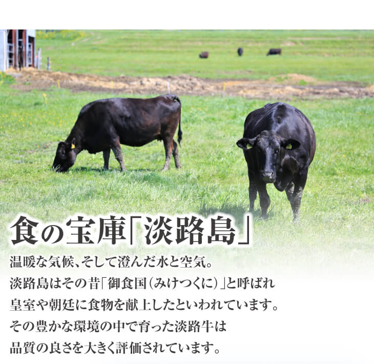 淡路牛すき焼き用 赤身 1kg