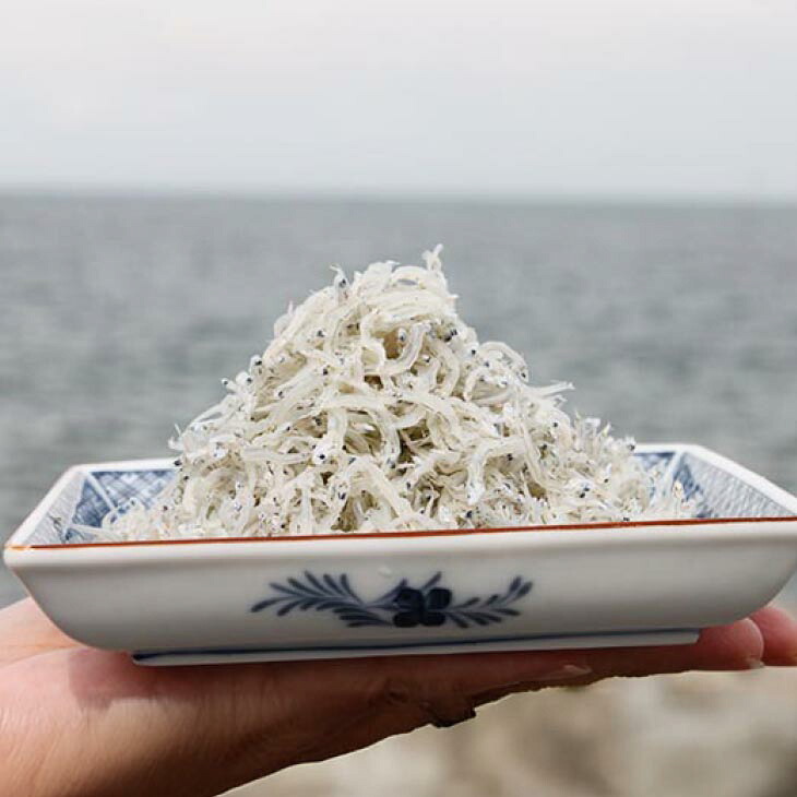 ＜淡路島のちりめんじゃこ＞と＜いかなごのくぎ煮＞の詰合せ