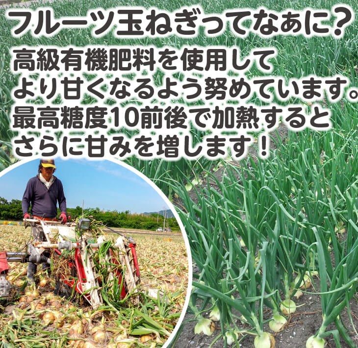 フルーツ玉ねぎ３kg【サイズ色々】淡路島フルーツ玉ねぎ3kg