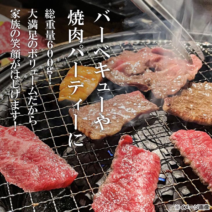 【淡路牛専門の目利きが厳選】特上赤身・特上カルビ　焼肉用　600ｇ