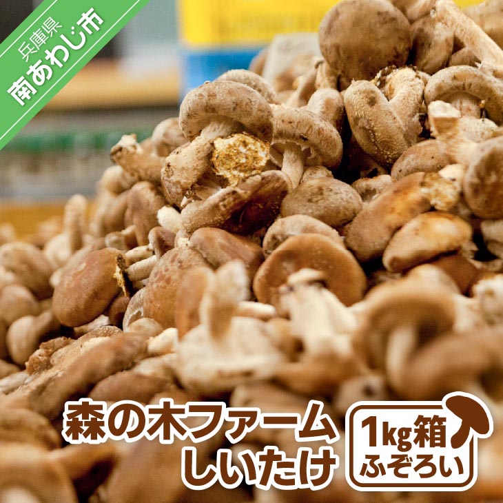 【農薬・化学肥は不使用】森の木ファームしいたけ(1キロ箱)ふぞろい