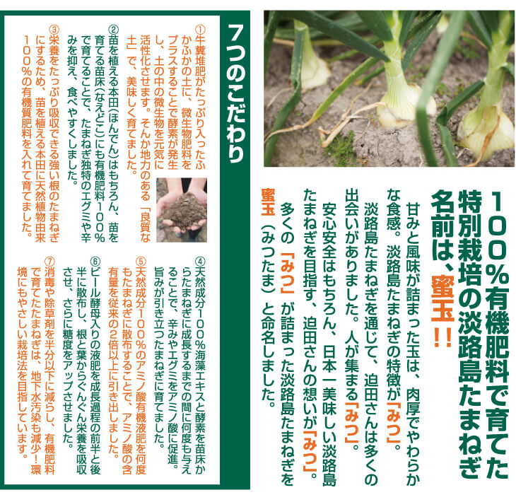 蜜玉（みつたま）3kg 2026年度産淡路島玉ねぎ(有機肥料100%)
