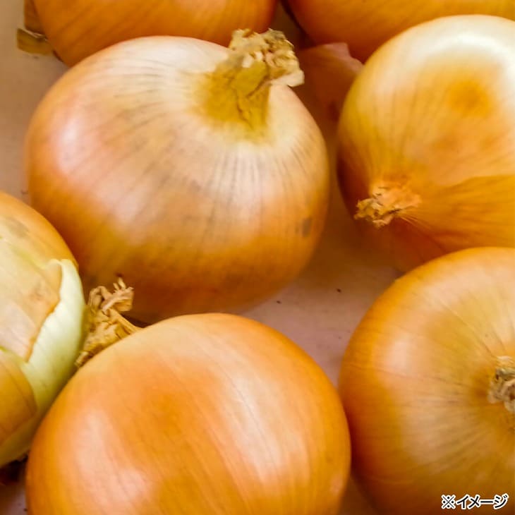 やみつき玉ねぎの淡路牛100％チーズINハンバーグ（150ｇ）冷凍