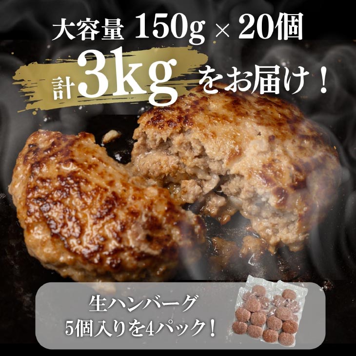 淡路島玉ねぎ入れすぎハンバーグ 3kg(150g×20個) 冷凍