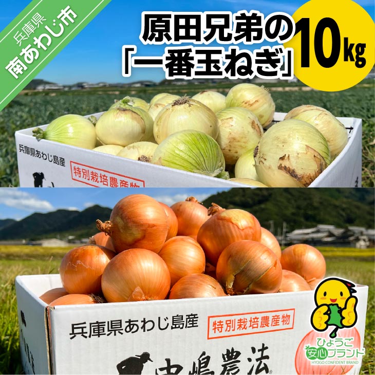 原田兄弟の一番玉ねぎ　10kg