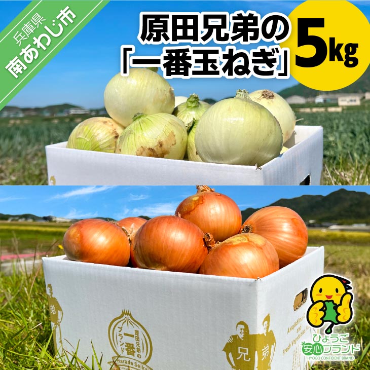 原田兄弟の一番玉ねぎ　５kg