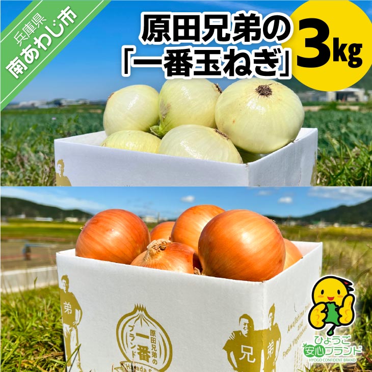 原田兄弟の一番玉ねぎ　３kg