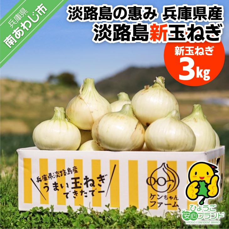 【新玉予約！】＼うまい玉ねぎできたでー／ 特別栽培・新玉ねぎ3㎏  ～ひょうご安心ブランド認証取得～◆配送R9.3月中旬～5月末