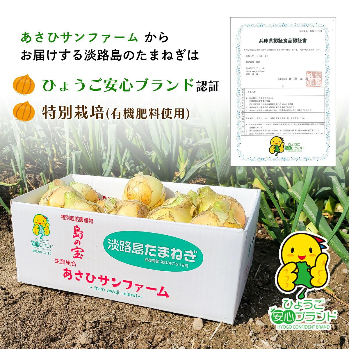 【あさひサンファーム】【Mサイズ 3kg/5kg/10kg】ひょうご安心ブランド★特別栽培★淡路島たまねぎ