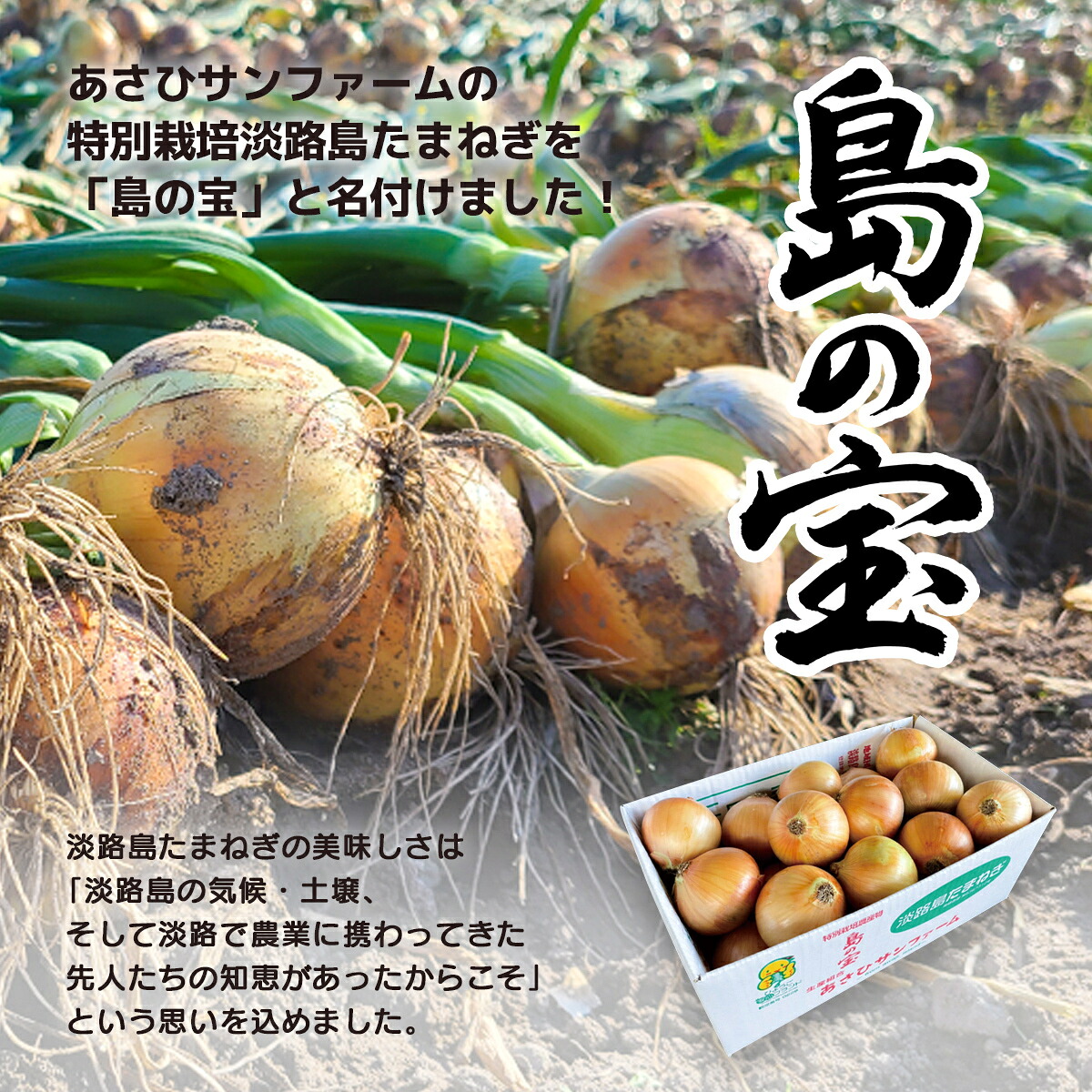 【あさひサンファーム】【Mサイズ 3kg/5kg/10kg】ひょうご安心ブランド★特別栽培★淡路島たまねぎ
