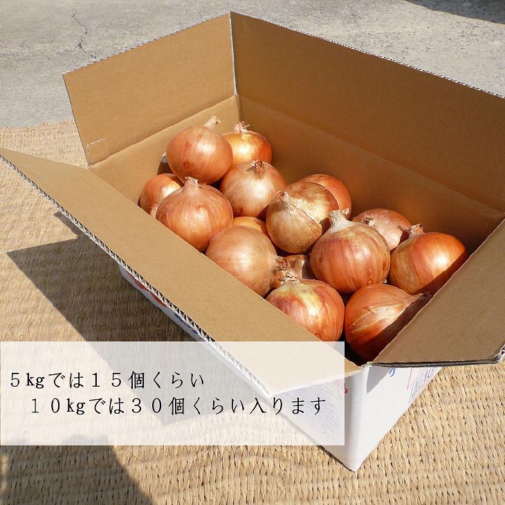 玉ねぎ（淡路玉三郎）3kg/5kg/10kg
