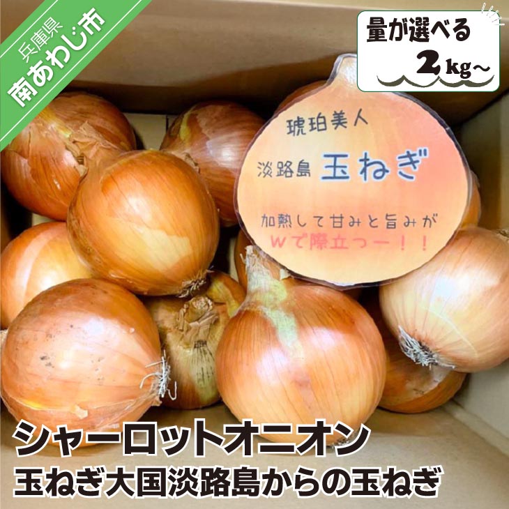 淡路島極熟玉葱　シャーロットオニオン【2kg~20kg】　玉ねぎ大国淡路島からの玉ねぎ