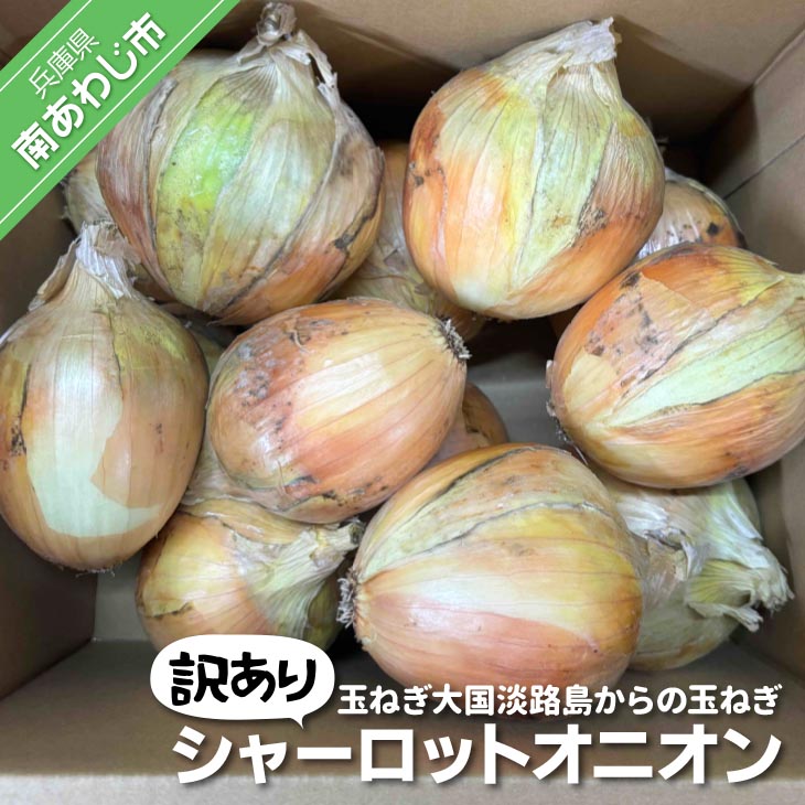 【訳あり】淡路島極熟玉葱　シャーロットオニオン【2kg～20kg】　玉ねぎ大国淡路島からの玉ねぎ