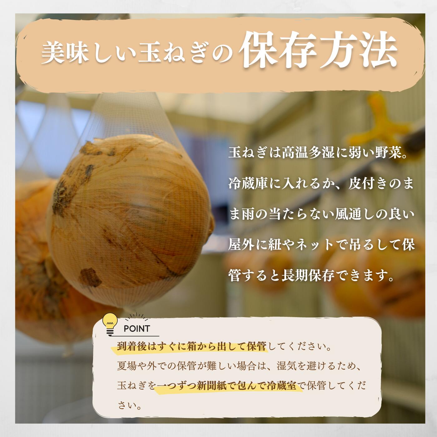 【訳あり】淡路島極熟玉葱　シャーロットオニオン【2kg～20kg】　玉ねぎ大国淡路島からの玉ねぎ