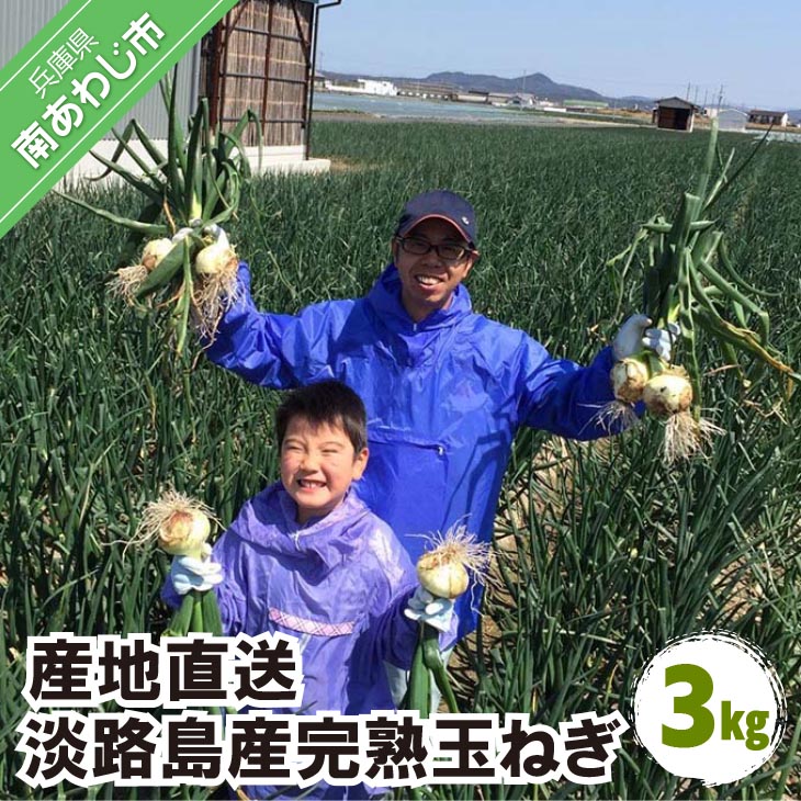 淡路島産玉ねぎ 3kg