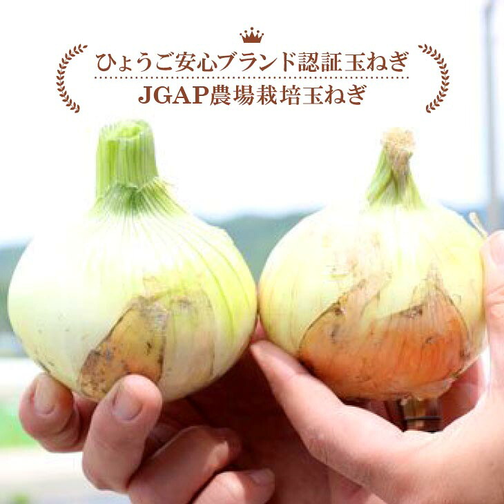 淡路島産玉葱 うずしお追熟甘玉ねぎ　3kg/5kg/10kg