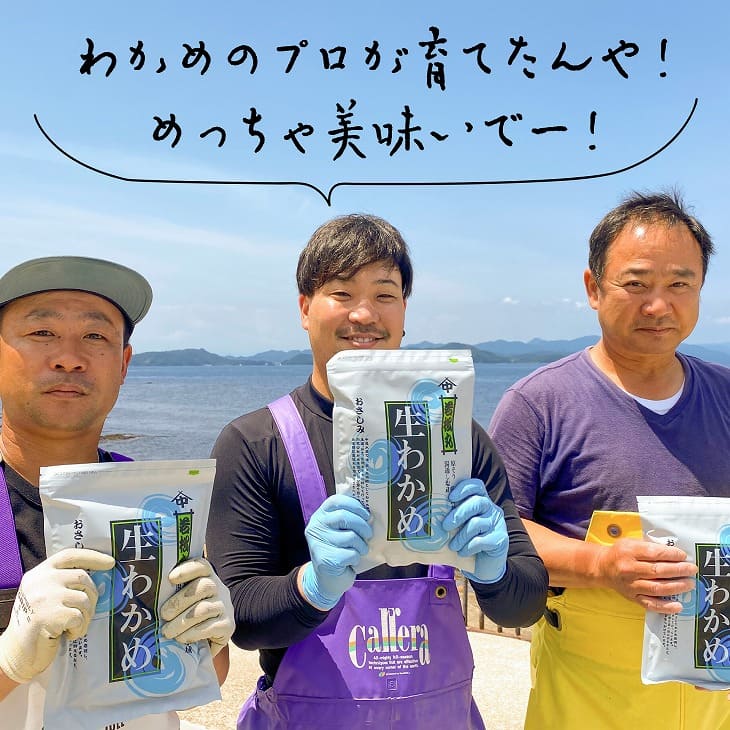 【漁師直送】湯通し塩蔵わかめ300ｇ×2袋【淡路島鳴門海峡原産】