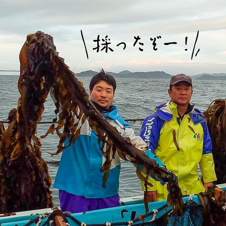 【漁師直送】湯通し塩蔵わかめ300ｇ×2袋【淡路島鳴門海峡原産】