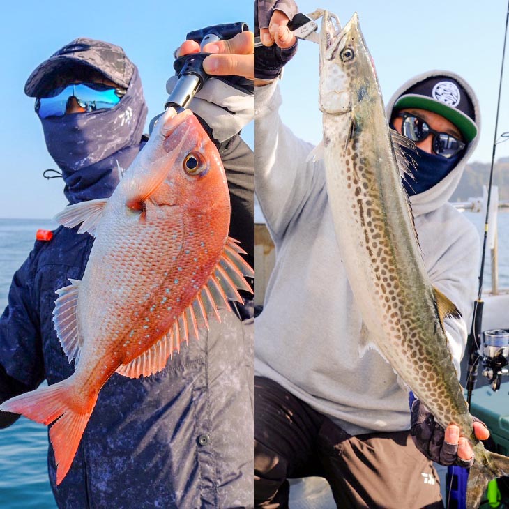 【淡路島丸山港発】釣り船 若松丸 乗船券(1名様1回券 乗合)