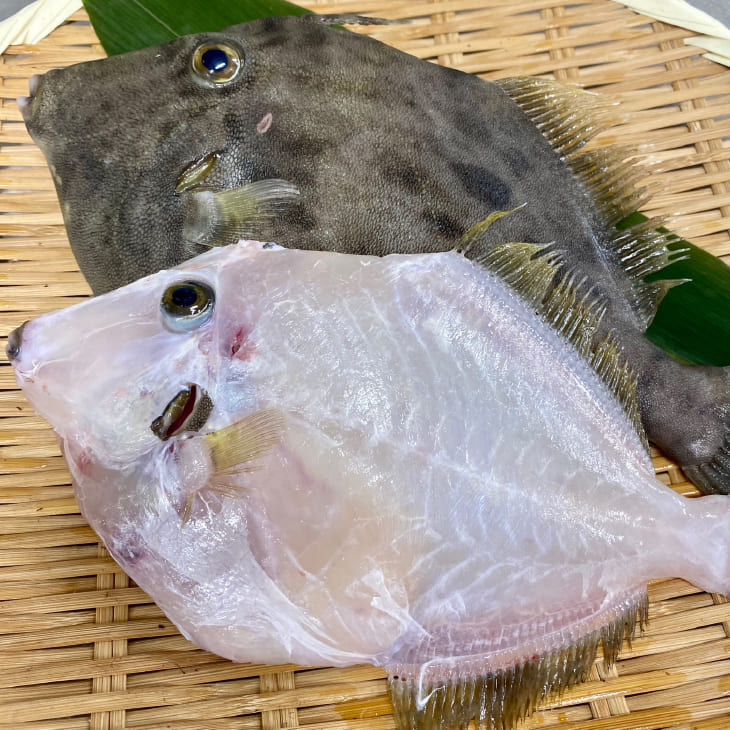淡路産天然本カワハギ(丸はげ)1kg
