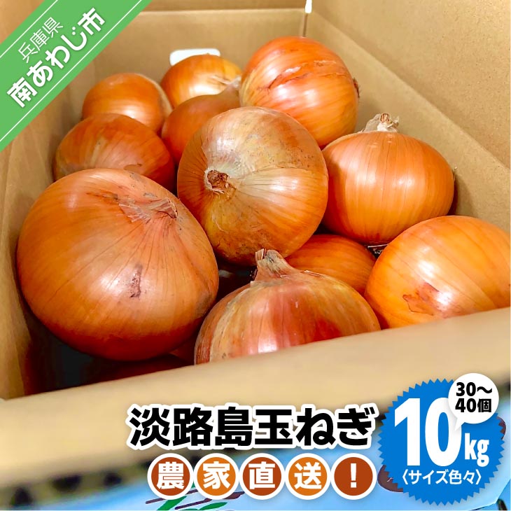 農家直送！淡路島玉ねぎ ≪10kg！サイズ色々≫