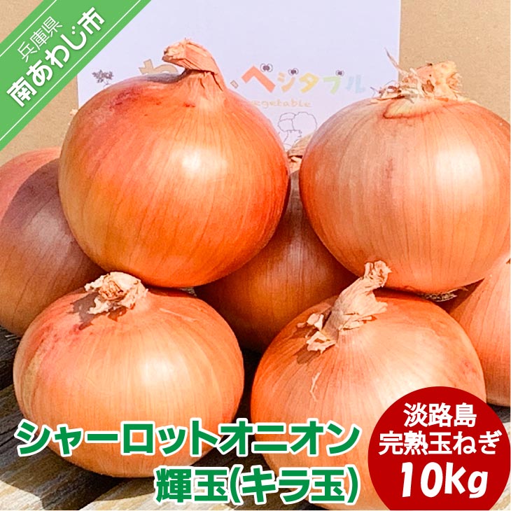 大地の恵み!淡路島の完熟玉ねぎ【シャーロットオニオン 輝玉(キラ玉)】10kg【6月中旬から配送】