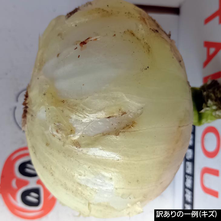 訳あり品 淡路島産完熟玉ねぎ 5kg~20kg