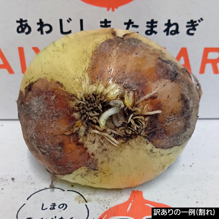 訳あり品 淡路島産完熟玉ねぎ 5kg~20kg