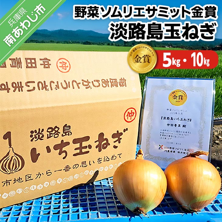 【野菜ソムリエサミット金賞】淡路島玉ねぎ5kg/10kg【仲田青果の淡路島いち玉ねぎ】