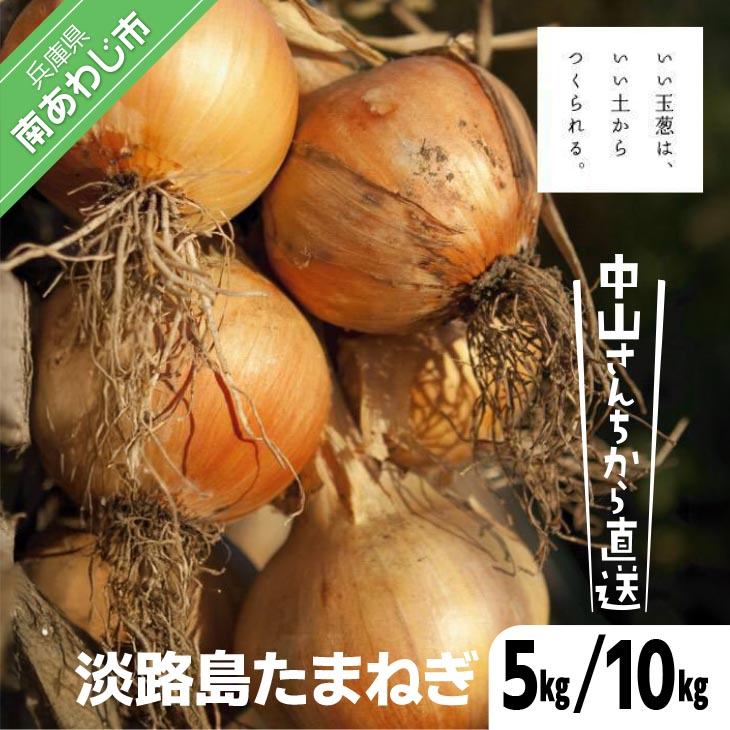 中山さんちから直送 淡路島たまねぎ5㎏/10㎏