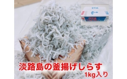 淡路島のふっくらやわらかい「釜揚げしらす干し」 1㎏入り