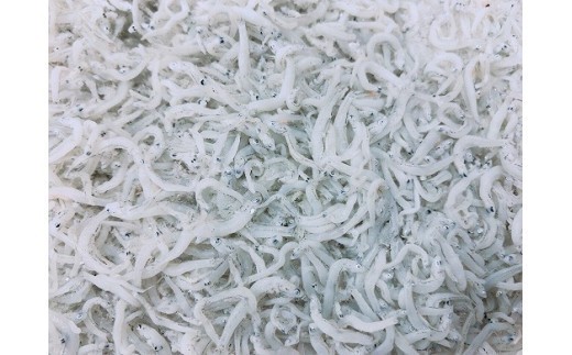 淡路島のふっくらやわらかい「釜揚げしらす干し」 1㎏入り