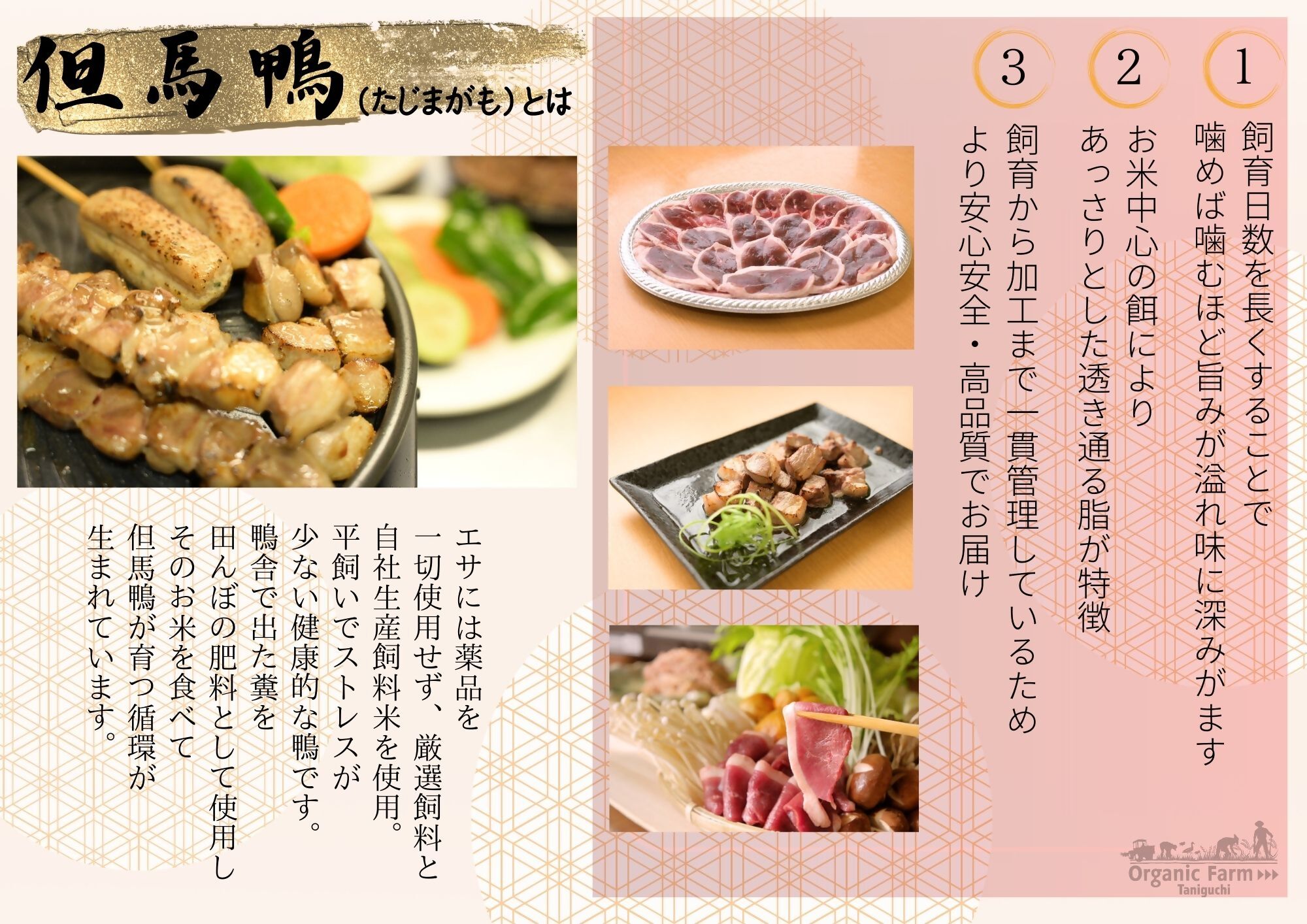 【但馬鴨】鴨鍋セット3〜4人前