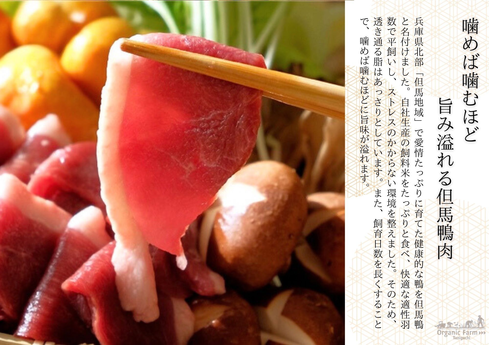 【但馬鴨】鴨鍋セット3〜4人前