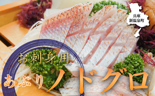 山陰沖　お刺身用あぶりノドグロ　2パック　高級魚 アカムツ　生食用