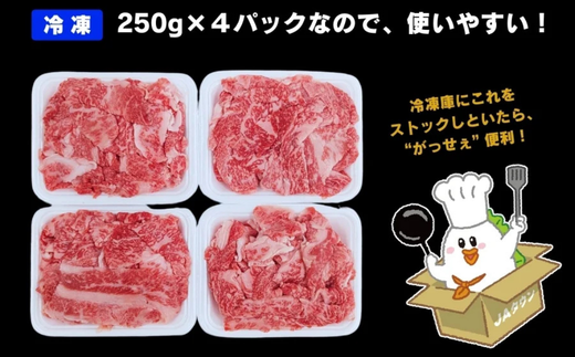 但馬牛　がっせぇ盛り（切落し・1kg）冷凍