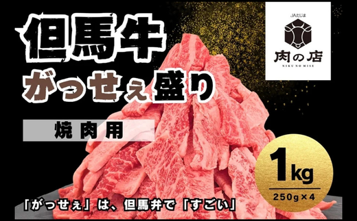 但馬牛 がっせぇ盛り 焼肉用 1kg
