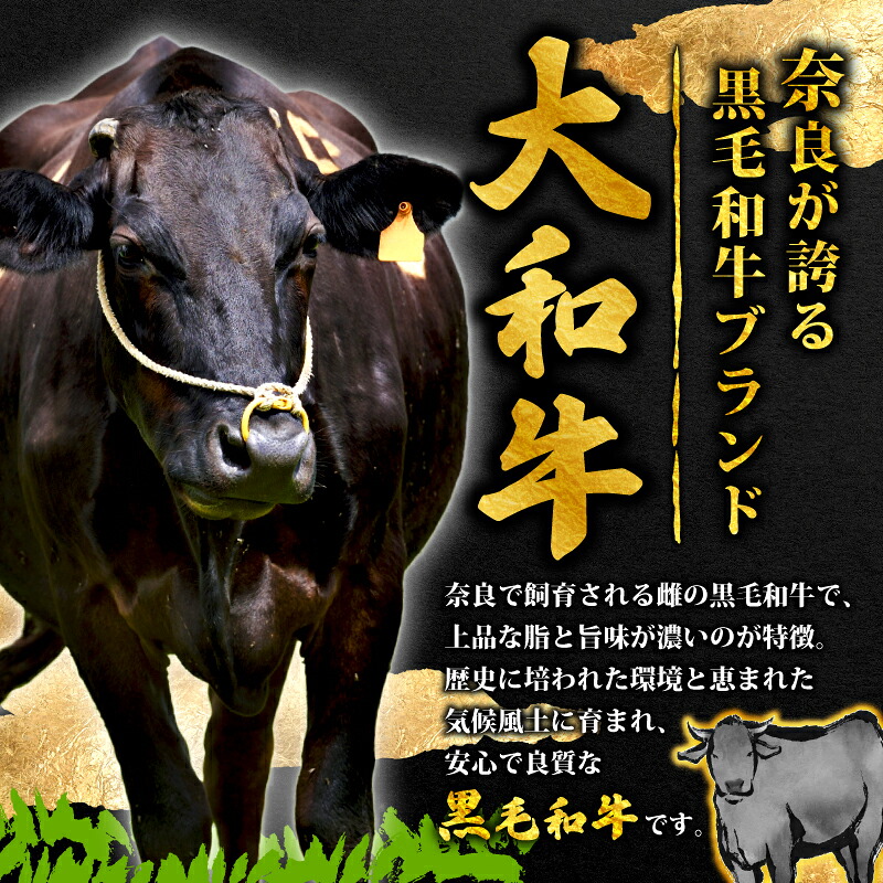 ステーキ 大和牛フィレステーキ肉 ステーキ 大和牛 牛肉 黒毛和牛 A5ランク 選べる150g×1~3枚 肉 赤身肉 すてーき ヒレステーキ ヒレ肉 国産 国産牛 国産品 奈良県 奈良市 F-72