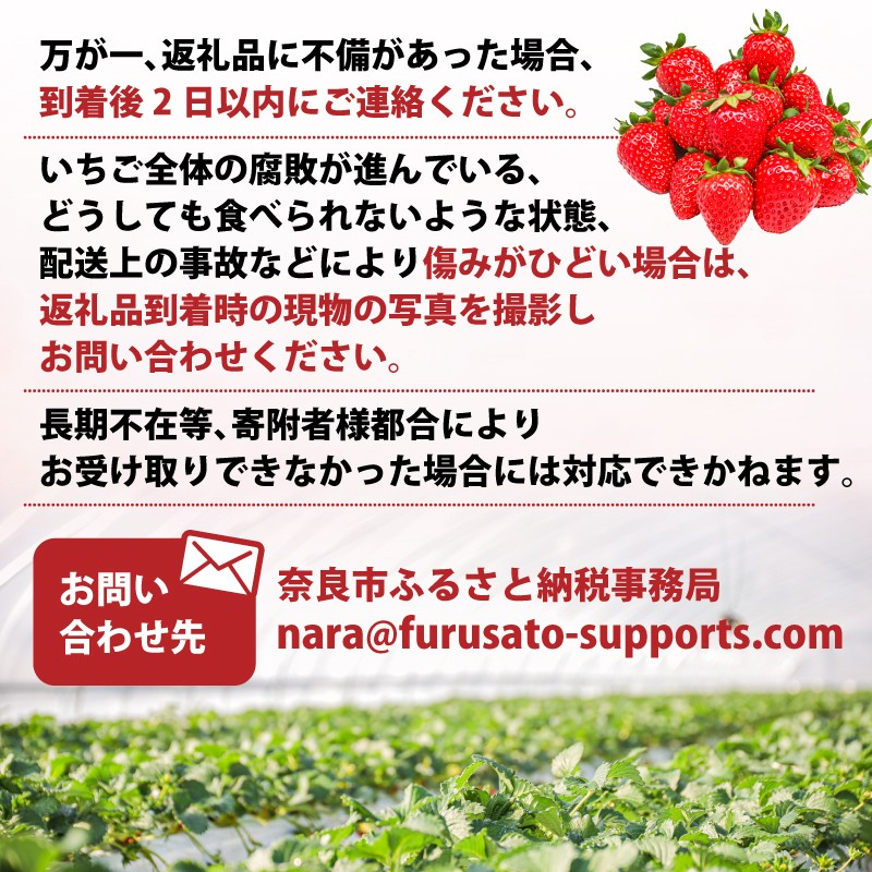 【2027年発送】いちご 古都華 ことか 先行予約 約520g~1040g イチゴ 苺 通常サイズ 520g 1040g 大粒サイズ 600g なくなり次第終了 フルーツ 果物 旬 産地 農場 直送