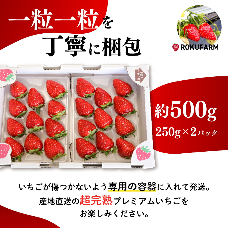 いちご 古都華 約500g 約250g×2パック 大粒 L~2Lサイズ 冷蔵 いちご ことか  2027年発送 苺 フルーツ 果物 くだもの イチゴ ストロベリー strawberry 贈答 ギフト