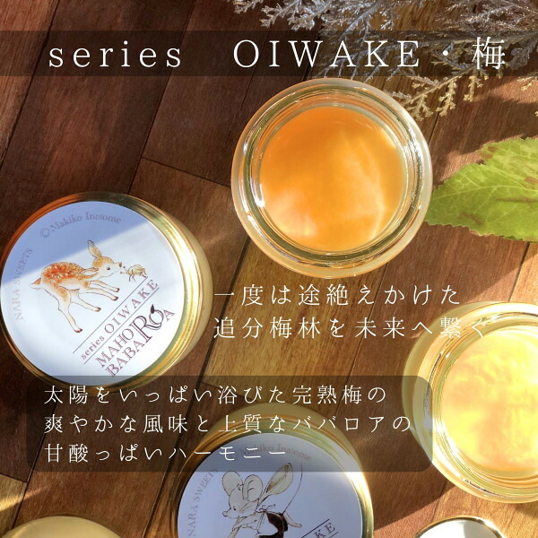 まほろババロア series OIWAKE・完熟梅 5個セット ギフト 贈り物 プレゼント LOG CABIN（ログ・キャビン） 奈良県 奈良市 なら 10-207