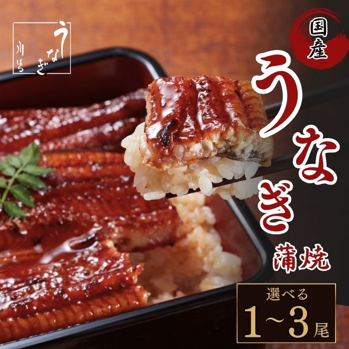 うなぎの蒲焼 うな菊 たれ付き 鰻 うなぎ 丑の日