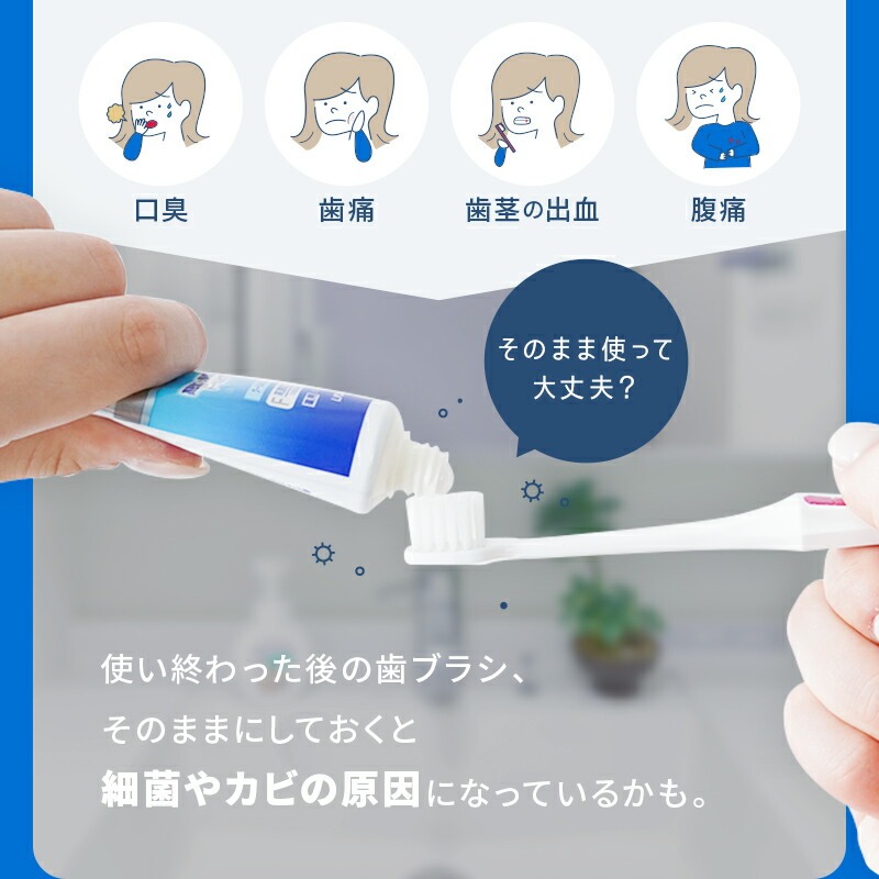 歯ブラシ除菌器 【カラー選択可】〈ライズクリエイション atRise〉 歯ブラシ 除菌 壁掛け式 カビ防止 歯ブラシ収納 ケース 静音 USB充電式 LEDライト ドライ Type-c タイプC