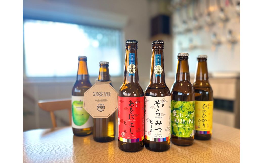 【6ヶ月定期便】クラフトビール飲み比べセット 138-001