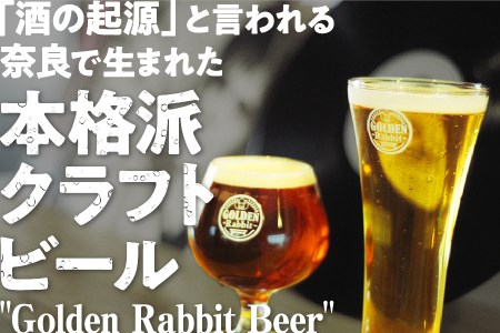 【6ヶ月定期便】クラフトビール飲み比べセット 138-001