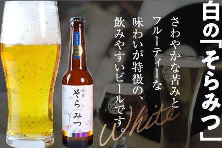 【6ヶ月定期便】クラフトビール飲み比べセット 138-001
