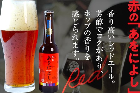 【6ヶ月定期便】クラフトビール飲み比べセット 138-001