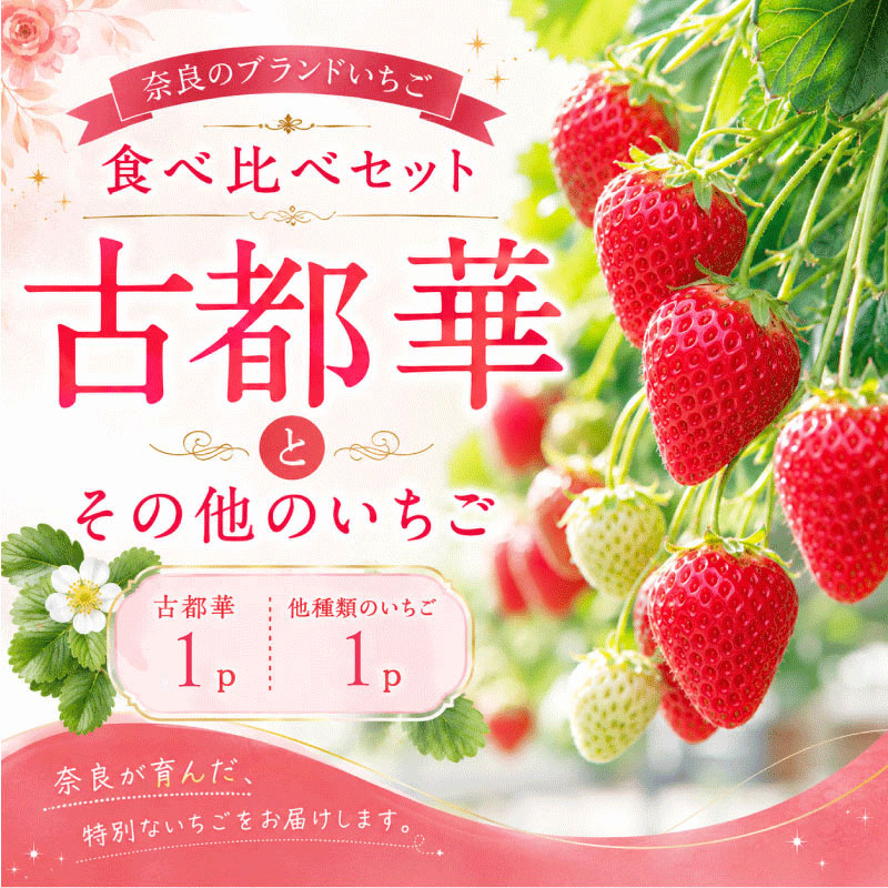 いちご ことか 食べ比べ 2種 計2~4パック 先行予約 2027年発送 古都華 苺 フルーツ 果物 ストロベリー 甘い スイーツ デザート 数量限定 産地直送 冷蔵 ブランド苺 プレゼント ギフト