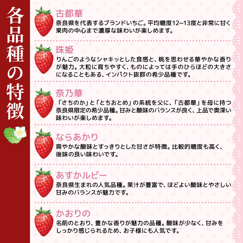 いちご ことか 食べ比べ 2種 計2~4パック 先行予約 2027年発送 古都華 苺 フルーツ 果物 ストロベリー 甘い スイーツ デザート 数量限定 産地直送 冷蔵 ブランド苺 プレゼント ギフト